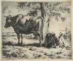Print by Adriaen van de Velde: Two Cows under a Tree, represented by Childs Gallery