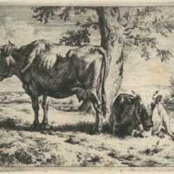 Print by Adriaen van de Velde: Two Cows under a Tree, represented by Childs Gallery