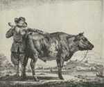 Print by Adriaen van de Velde: Young Herdsman with a Bull, from the series Different Animal, represented by Childs Gallery