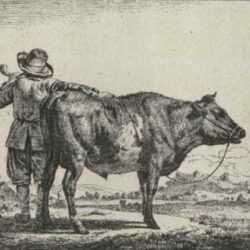 Print by Adriaen van de Velde: Young Herdsman with a Bull, from the series Different Animal, represented by Childs Gallery
