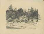 Drawing by Albert Groll: [Landscape with Trees], represented by Childs Gallery