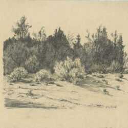 Drawing by Albert Groll: [Landscape with Trees], represented by Childs Gallery