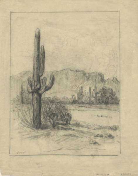 Drawing by Albert Groll: [Saguaros in Landscape], represented by Childs Gallery