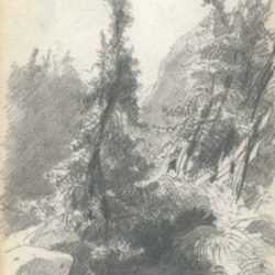 Drawing by Albert von Keller: Forest Study, represented by Childs Gallery
