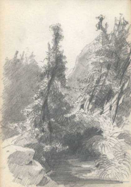 Drawing by Albert von Keller: Forest Study, represented by Childs Gallery