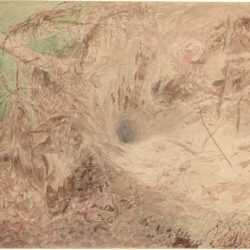 Watercolor By Alexander H. Wyant: The Spider's Lair At Childs Gallery