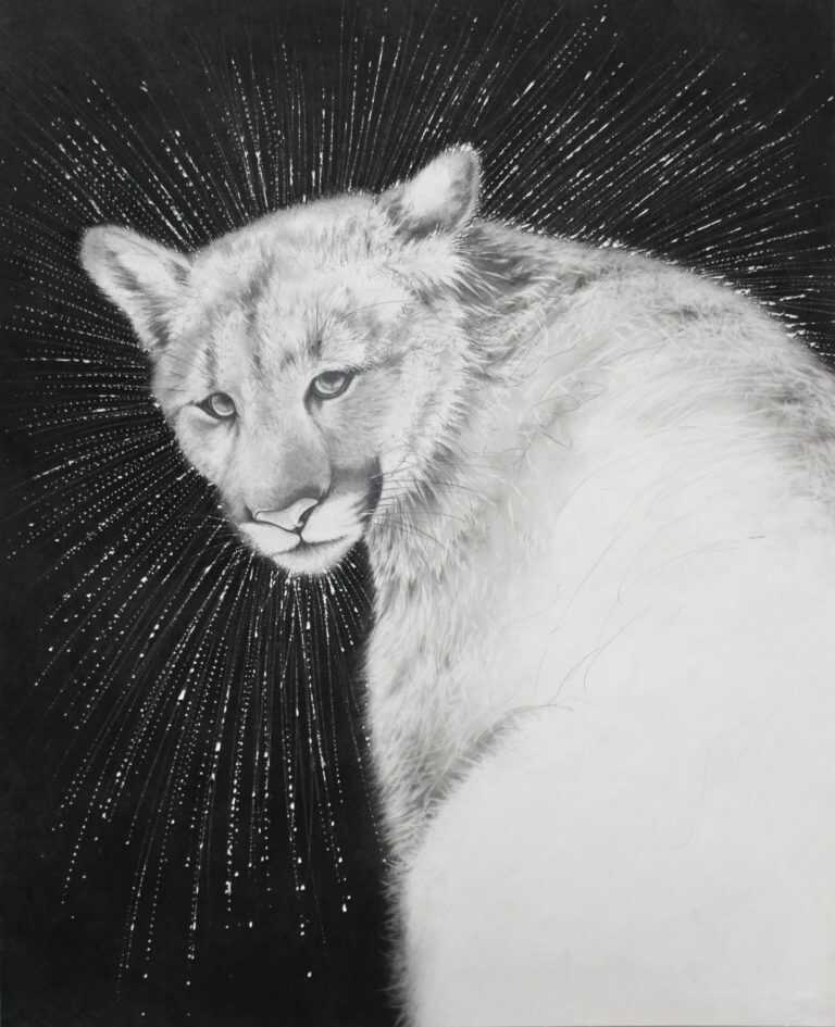 Drawing by Amy Ross: Cat Spirit, available at Childs Gallery, Boston