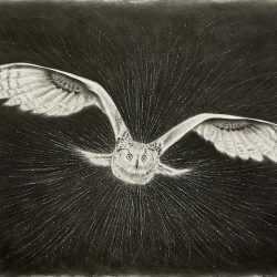 Drawing by Amy Ross: Night Flight, available at Childs Gallery, Boston
