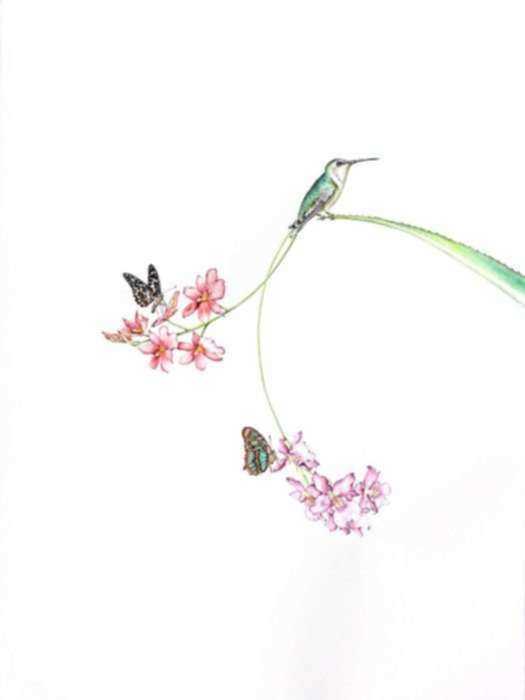 Watercolor by Amy Ross: Butterfly Effect #4, represented by Childs Gallery