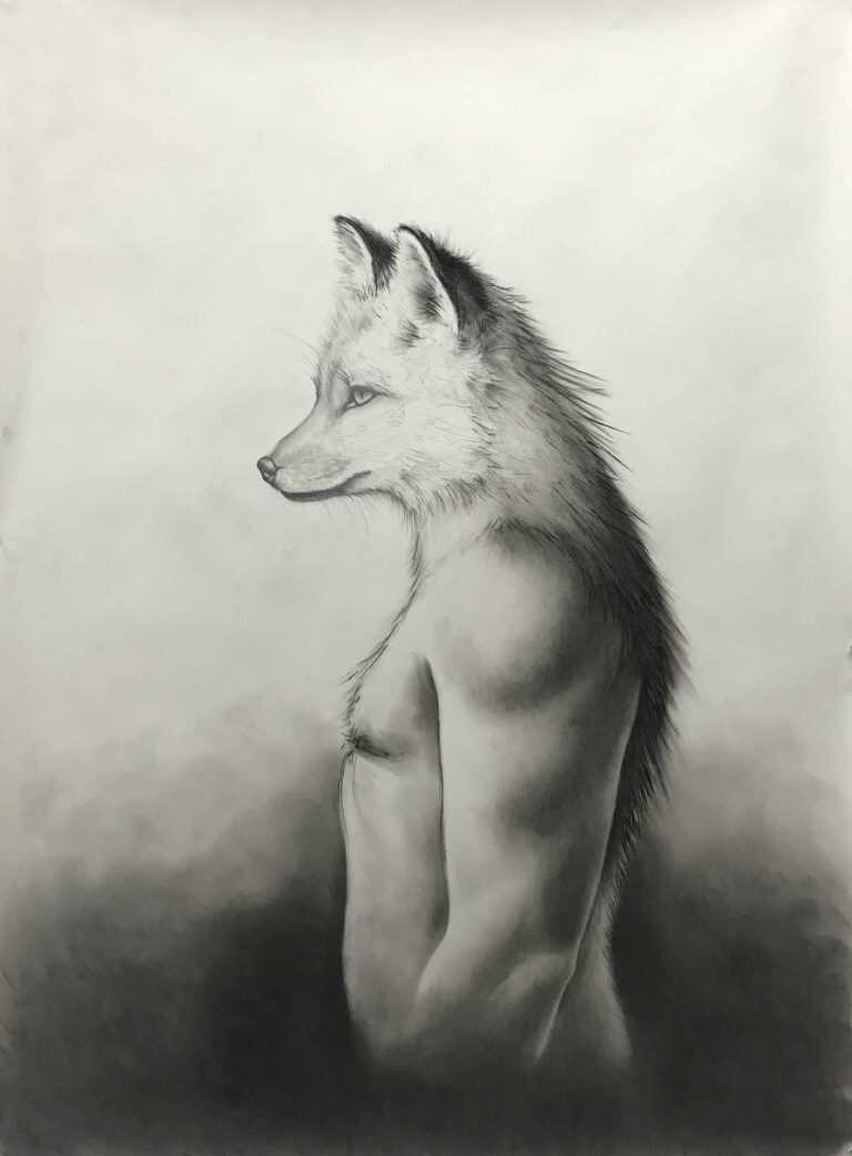 Drawing By Amy Ross: Fox Spirit At Childs Gallery