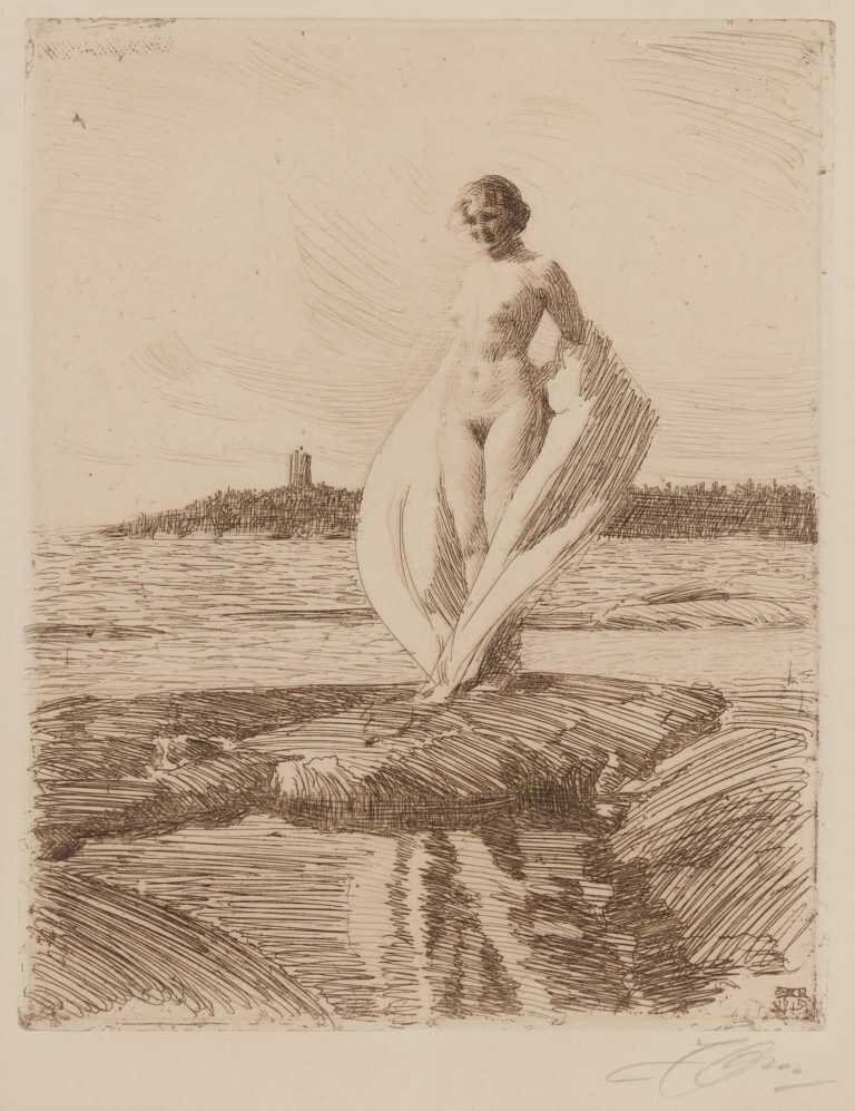 Print By Anders Zorn: The Swan At Childs Gallery