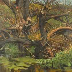 Painting by Anne Lyman Powers: Willow Swamp, represented by Childs Gallery