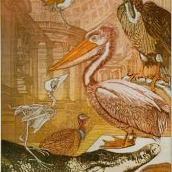 Exhibition: Annemarie Petri: Rara Avis from April 18, 2025 to June 1, 2025 at Childs Gallery, Boston