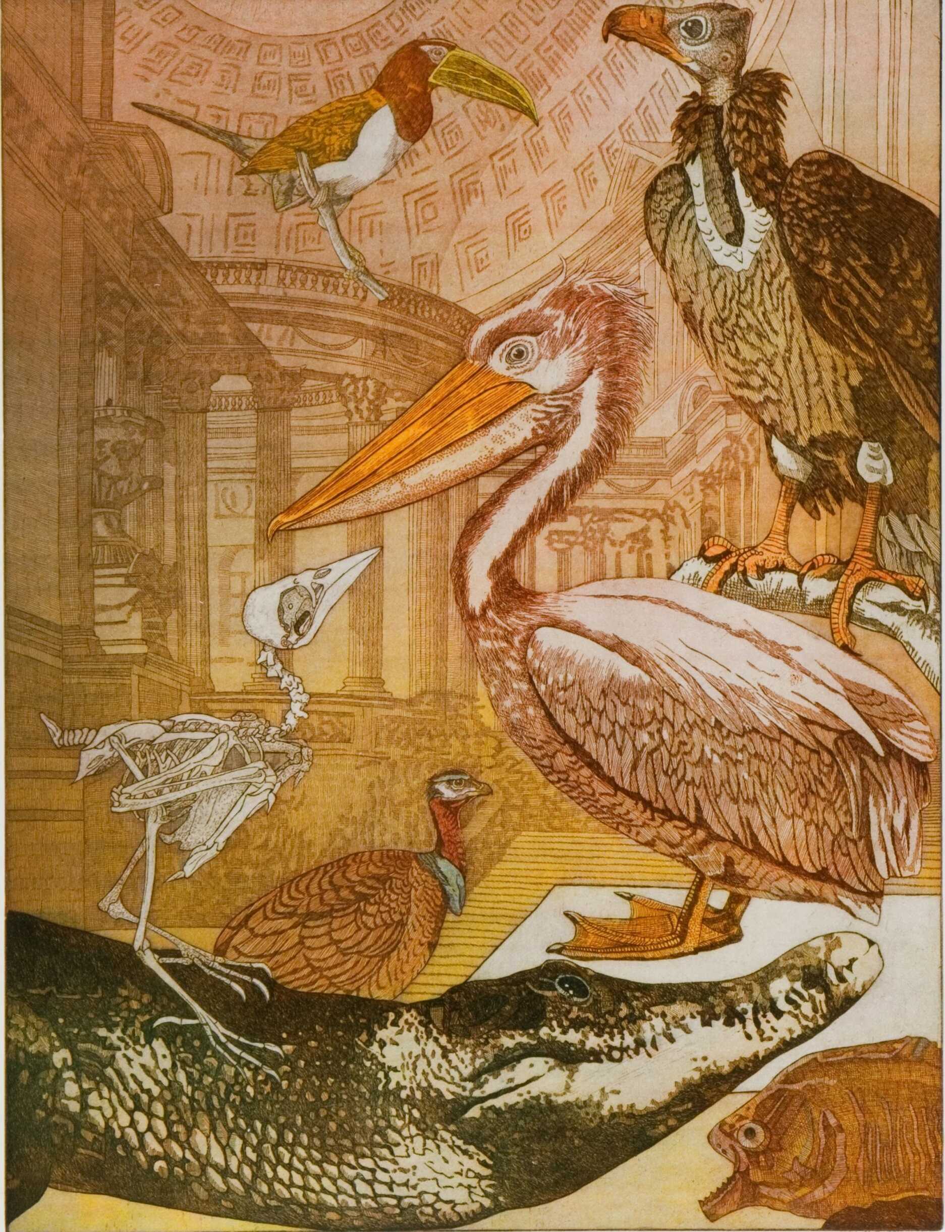 Exhibition: Annemarie Petri: Rara Avis | Childs Gallery