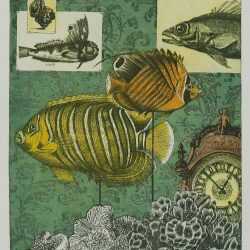 Print by Annemarie Petri: Interior of an ichthyologist, available at Childs Gallery, Boston