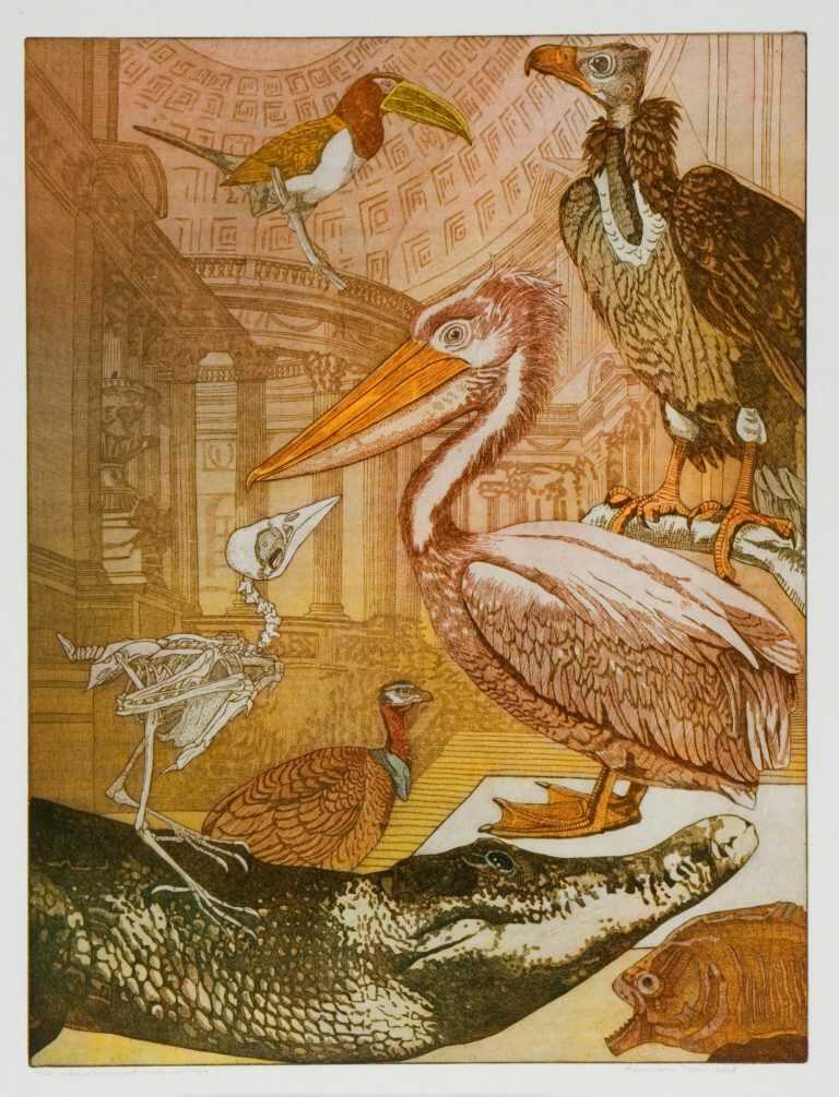 Print by Annemarie Petri: Museum of natural history, available at Childs Gallery, Boston