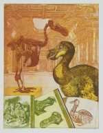 Print by Annemarie Petri: The story about the Dodo, available at Childs Gallery, Boston