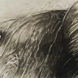 Ink Wash By Arthur Polonsky: Torrent At Childs Gallery