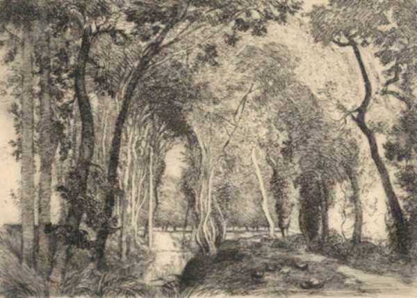 Print by Auguste Lepère: Sous Bois a la Rigonette, represented by Childs Gallery