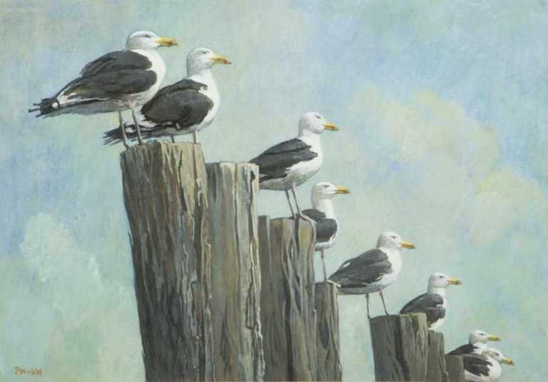 Exhibition: Avian Art Online Exclusive Exhibition From February 1, 2020 To March 15, 2020 At Childs Gallery