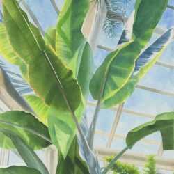 Watercolor By Ben Norris: Brooklyn Botanical Garden No. 1: Greenhouse Interior At Childs Gallery