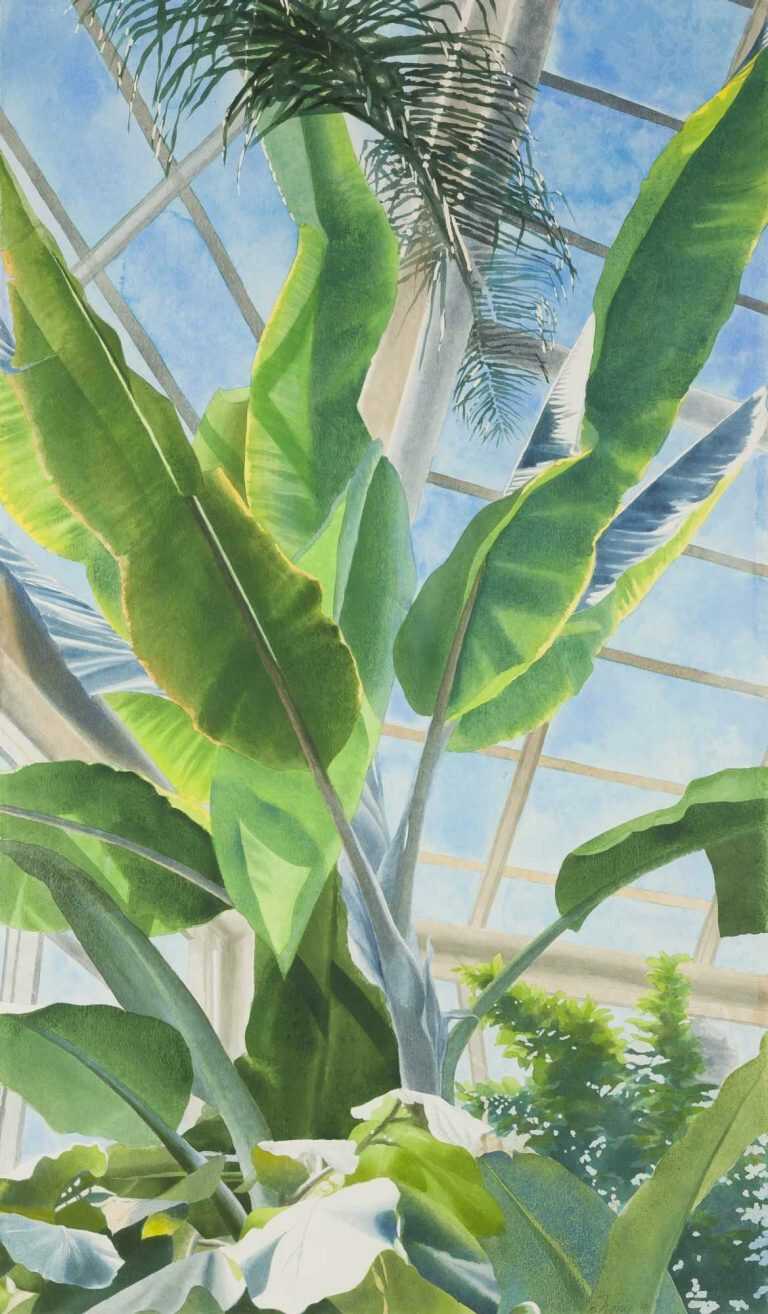 Watercolor By Ben Norris: Brooklyn Botanical Garden No. 1: Greenhouse Interior At Childs Gallery