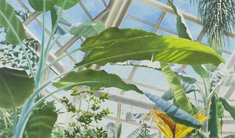 Watercolor By Ben Norris: Brooklyn Botanical Garden No. 2: Greenhouse Ii At Childs Gallery