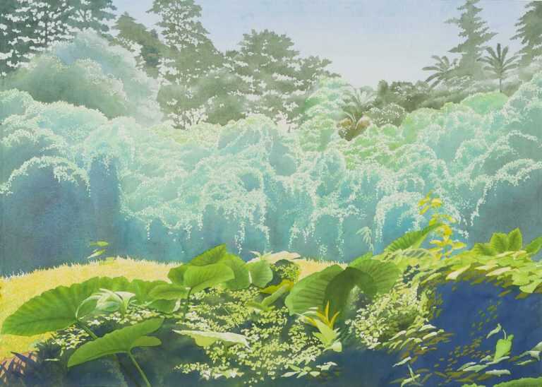 Watercolor By Ben Norris: Manoa Rainforest Xxvii: Smother Me Softly At Childs Gallery