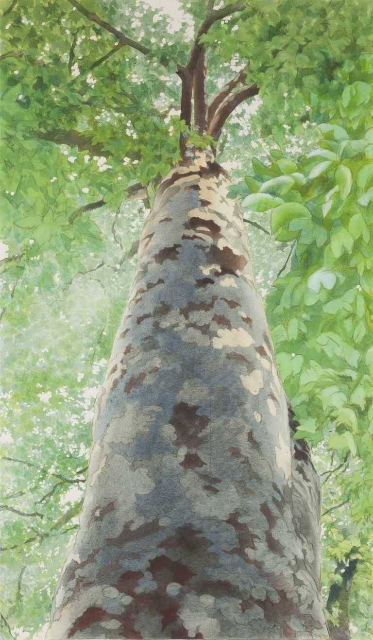 Painting By Ben Norris: Tree Ii At Childs Gallery