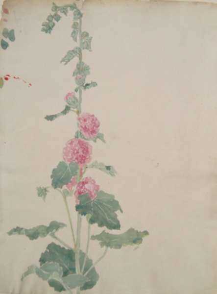 Drawing by Bryson Burroughs: [Pink Flowers], represented by Childs Gallery
