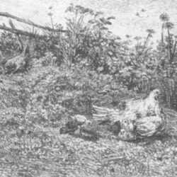 Print by Charles François Daubigny: La Poule et ses Poussins, represented by Childs Gallery