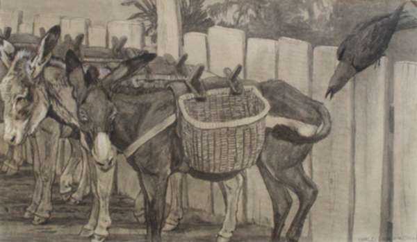 Drawing by Charles Livingston Bull: Three Burros and A Raven, represented by Childs Gallery