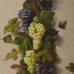 Painting By Charles Storer: Ripe Enough To Gather At Childs Gallery