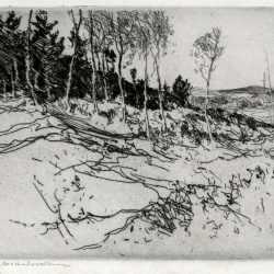 Print By Charles Woodbury: Seven Birches At Childs Gallery