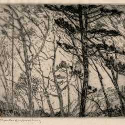 Print By Charles Woodbury: The Wood Ii At Childs Gallery