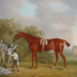 Painting by Clifton Tomson: Mr. Watt's Altisidora, Winner of the 1813 St. Leger, represented by Childs Gallery