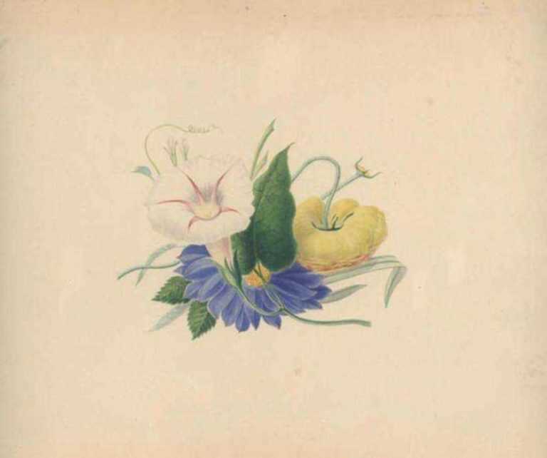 Watercolor by Edwin Whitefield: Flower Study, represented by Childs Gallery