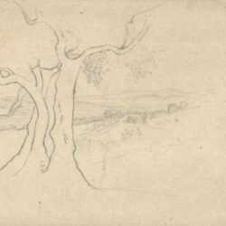 Drawing by Elihu Vedder: Tree with Landscape, represented by Childs Gallery