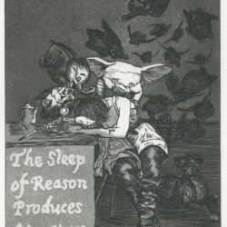 Print By Emily Lombardo: Plate 43: The Sleep Of Reason Produces Monsters, From The Caprichos At Childs Gallery