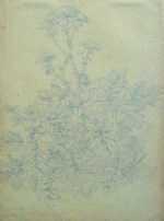 Drawing by Eugène Bléry: Angelique Sauvage au Bord du Chemin des Cascade, represented by Childs Gallery