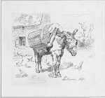 Print by Félix Buhot: L'Anesse Marie-Jeanne, represented by Childs Gallery