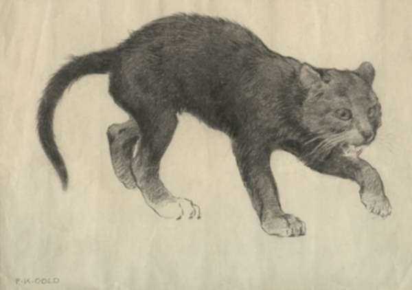 Drawing by Ferdinand Karl Gold: [Cat on the Hunt], represented by Childs Gallery