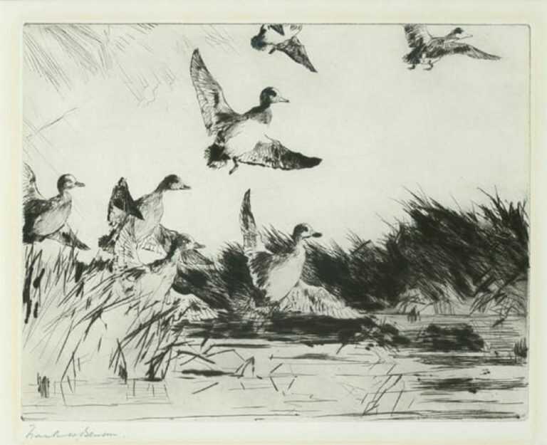 Print by Frank Benson: Baldplates, available at Childs Gallery, Boston