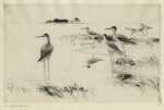 Print by Frank Benson: Winter Yellowlegs, available at Childs Gallery, Boston