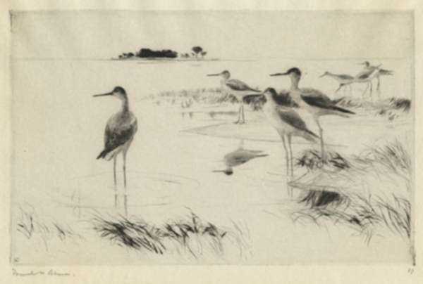 Print by Frank Benson: Winter Yellowlegs, represented by Childs Gallery