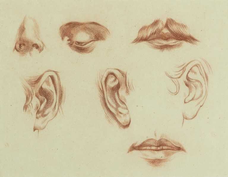 Drawing by French School: Etude de nez, yeux et bouches I, available at Childs Gallery, Boston