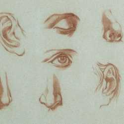 Drawing by French School: Etude de nez, yeux et bouches II, available at Childs Gallery, Boston