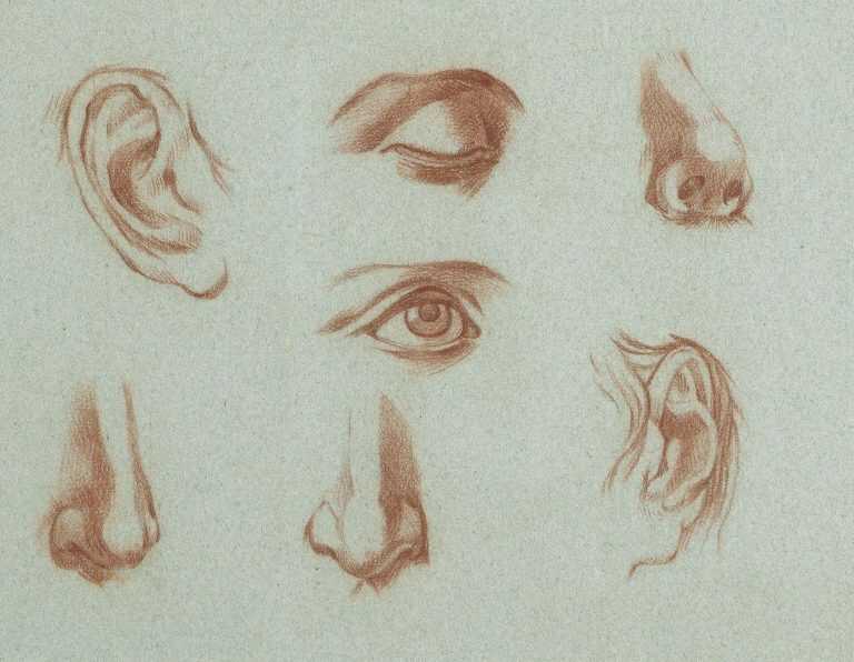 Drawing by French School: Etude de nez, yeux et bouches II, available at Childs Gallery, Boston