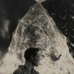 Photograph by George Platt Lynes: [Chuck Howard Posing Among an Adorned Tree II], available at Childs Gallery, Boston