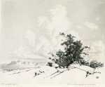 Print by George Elbert Burr: Summer Cloud, Apache Trail, Arizona, represented by Childs Gallery